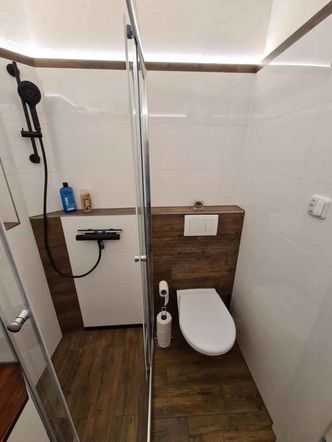 Ferienwohnung Svetly Prostorny Byt V Karline Prag Exterior foto